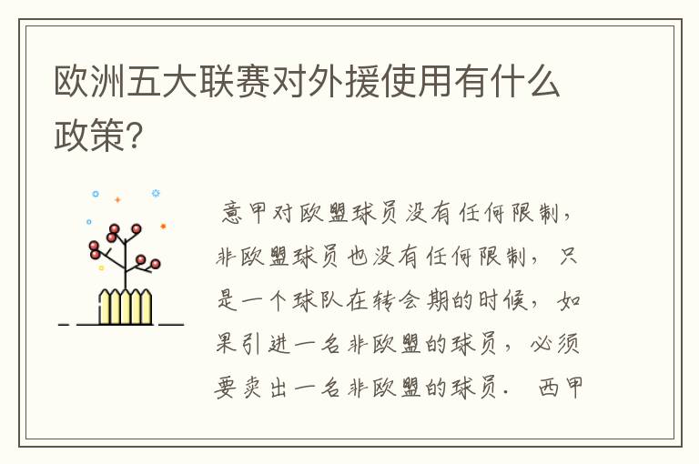 欧洲五大联赛对外援使用有什么政策?