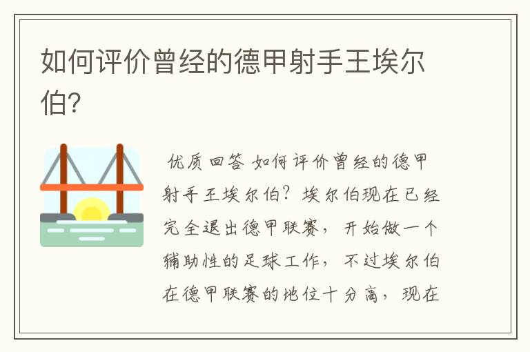 如何评价曾经的德甲射手王埃尔伯?