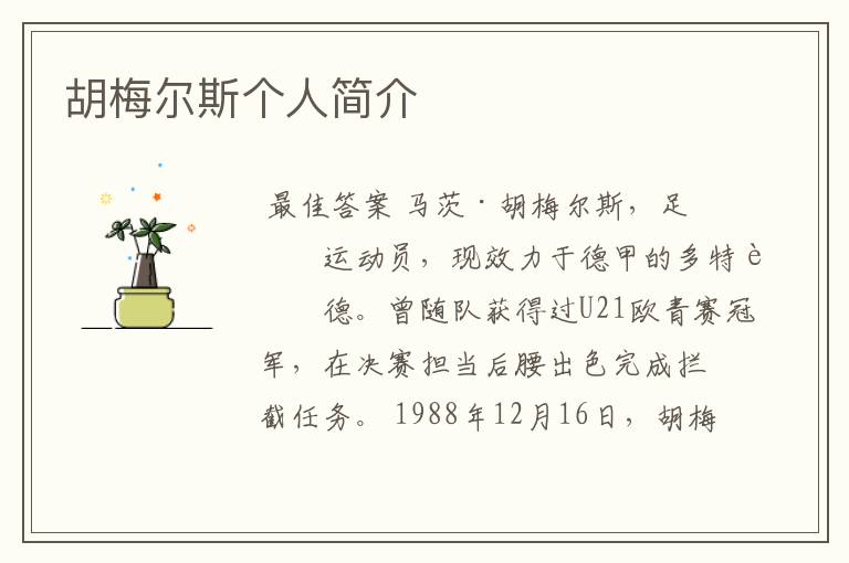 胡梅尔斯个人简介