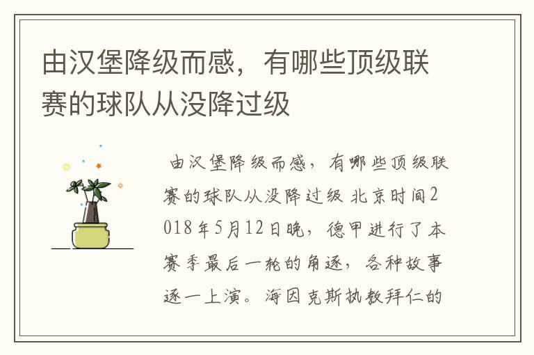 由汉堡降级而感,有哪些顶级联赛的球队从没降过级