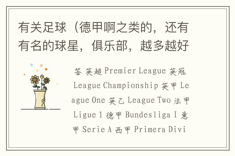 有关足球(德甲啊之类的,还有有名的球星,俱乐部,越多越好)