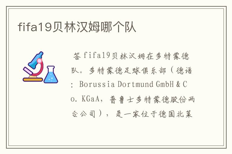 fifa19贝林汉姆哪个队