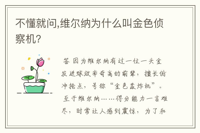 不懂就问,维尔纳为什么叫金色侦察机?