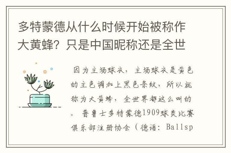 多特蒙德从什么时候开始被称作大黄蜂?只是中国昵称还是全世界范围都这么称呼