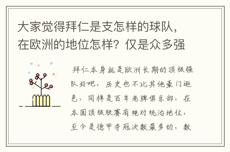 大家觉得拜仁是支怎样的球队,在欧洲的地位怎样?仅是众多强队中的一支,还是已经进入为数不多的顶级强队