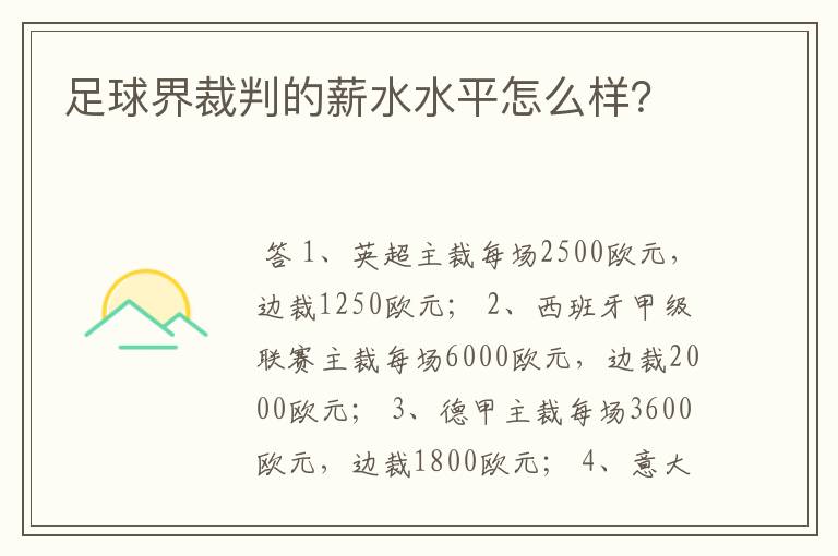 足球界裁判的薪水水平怎么样?
