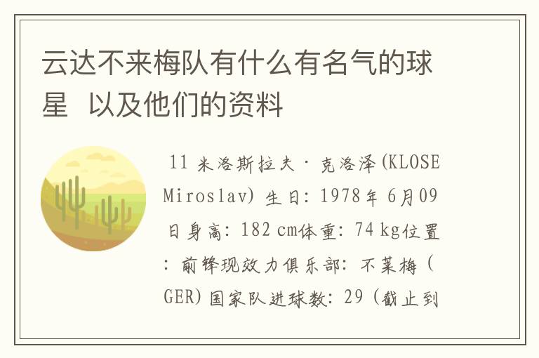云达不来梅队有什么有名气的球星 以及他们的资料