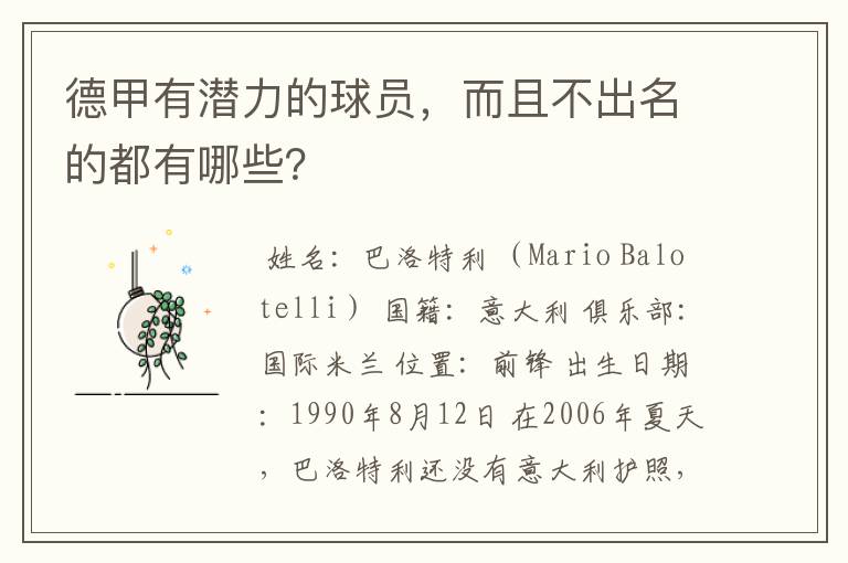德甲有潜力的球员,而且不出名的都有哪些?