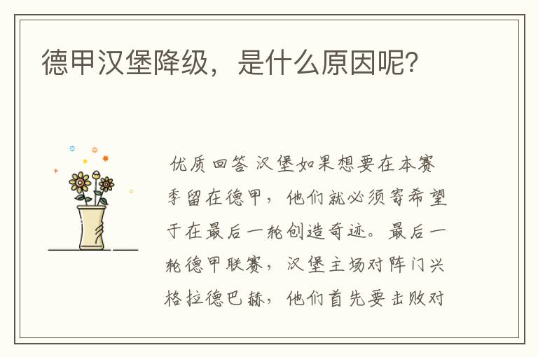 德甲汉堡降级,是什么原因呢?