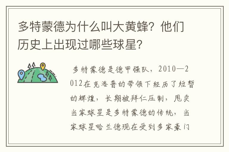 多特蒙德为什么叫大黄蜂?他们历史上出现过哪些球星?