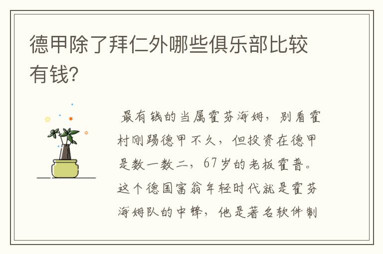 德甲除了拜仁外哪些俱乐部比较有钱?