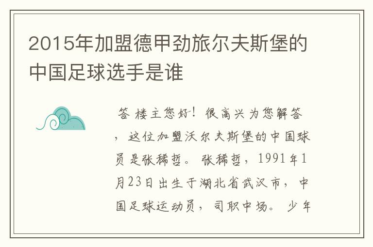 2015年加盟德甲劲旅尔夫斯堡的中国足球选手是谁