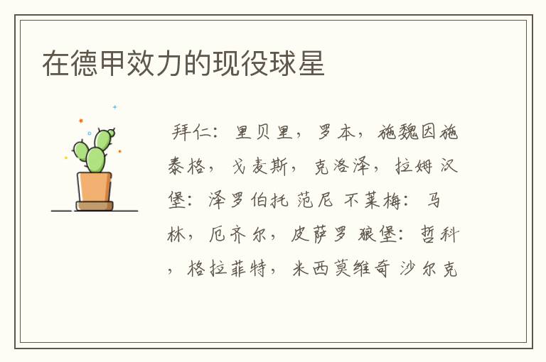 在德甲效力的现役球星