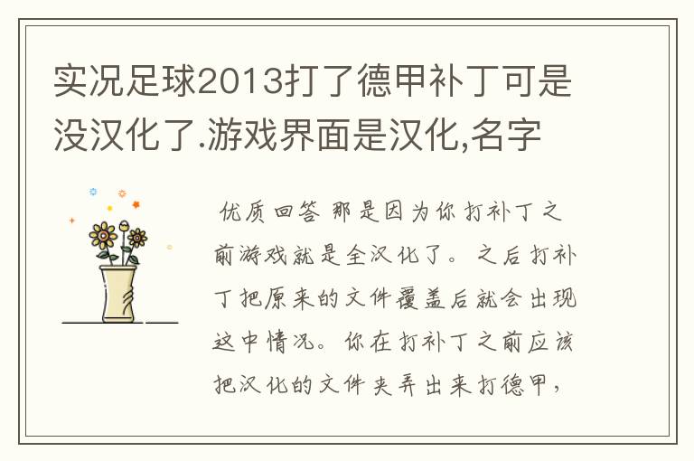 实况足球2013打了德甲补丁可是没汉化了.游戏界面是汉化,名字没有汉化.而且球队对标全乱了