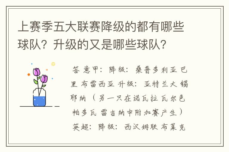 上赛季五大联赛降级的都有哪些球队?升级的又是哪些球队?