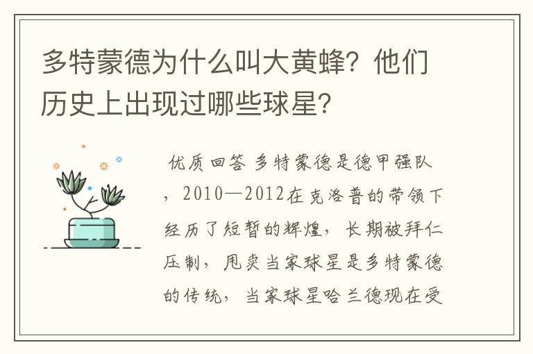 多特蒙德为什么叫大黄蜂?他们历史上出现过哪些球星?