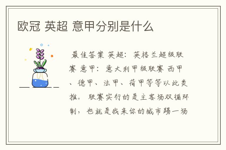 欧冠 英超 意甲分别是什么