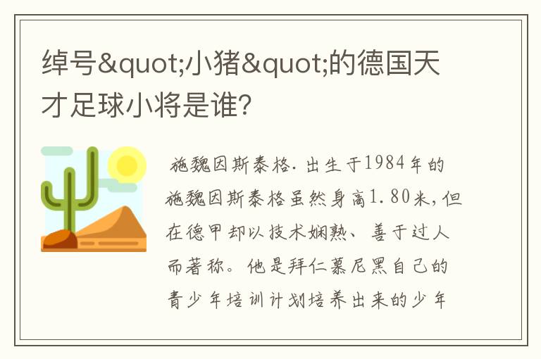 绰号"小猪"的德国天才足球小将是谁?