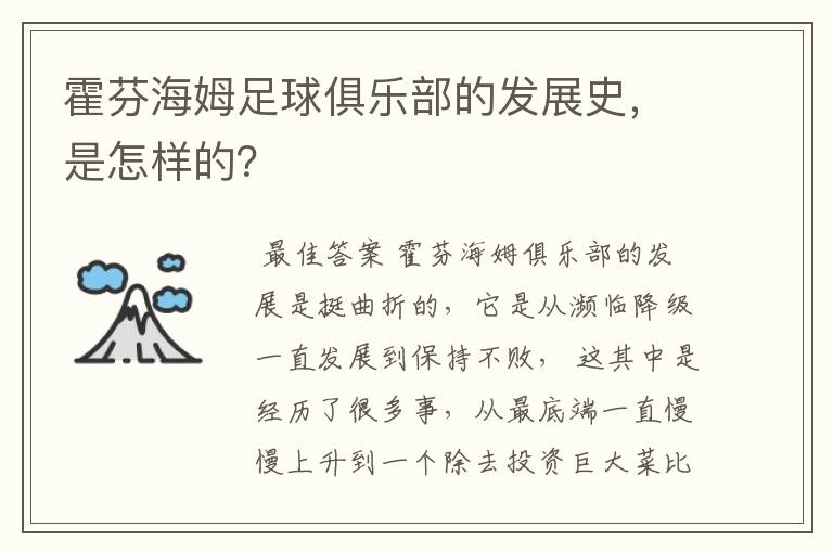 霍芬海姆足球俱乐部的发展史,是怎样的?