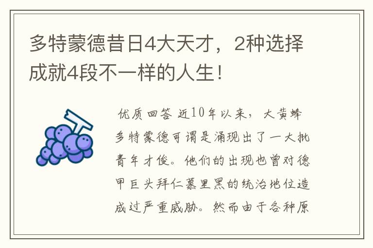 多特蒙德昔日4大天才,2种选择成就4段不一样的人生!