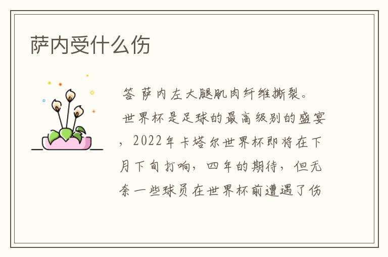 萨内受什么伤