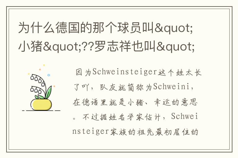 为什么德国的那个球员叫"小猪"??罗志祥也叫"小猪"??
