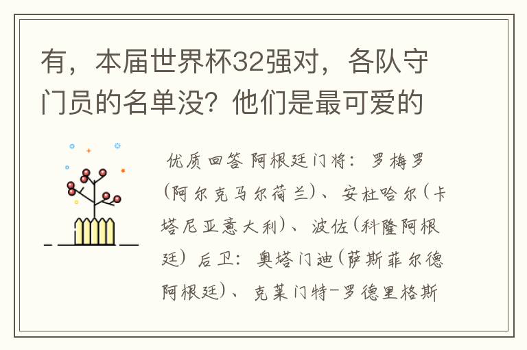 有,本届世界杯32强对,各队守门员的名单没?他们是最可爱的人