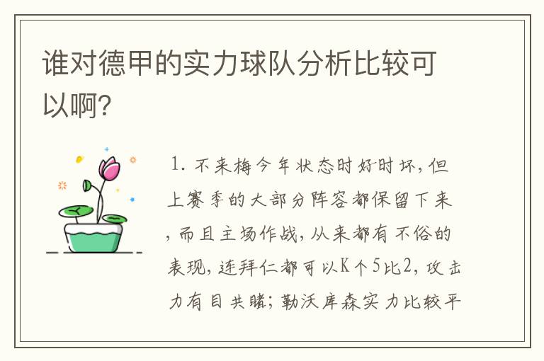 谁对德甲的实力球队分析比较可以啊?