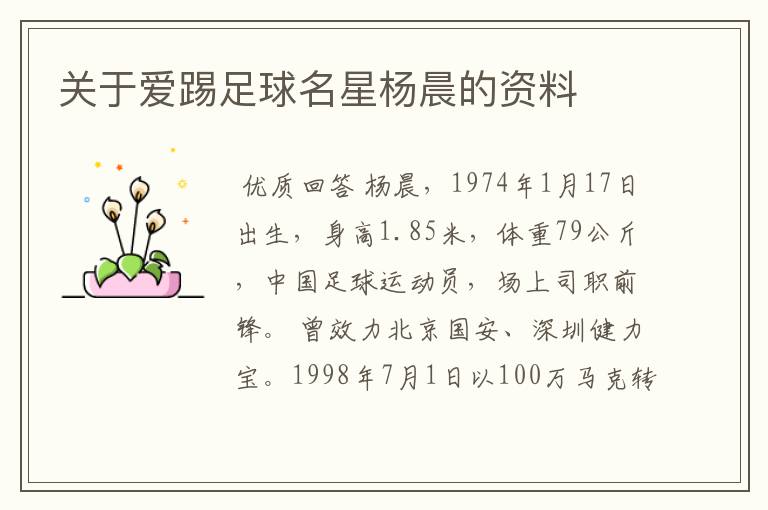 关于爱踢足球名星杨晨的资料