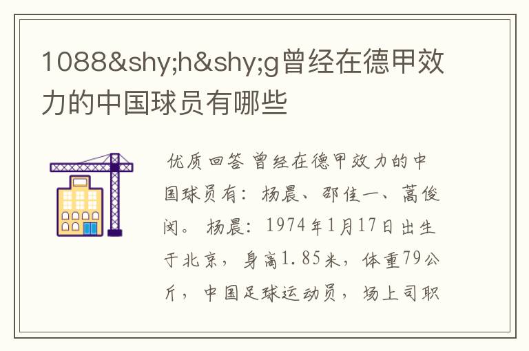 1088hg曾经在德甲效力的中国球员有哪些