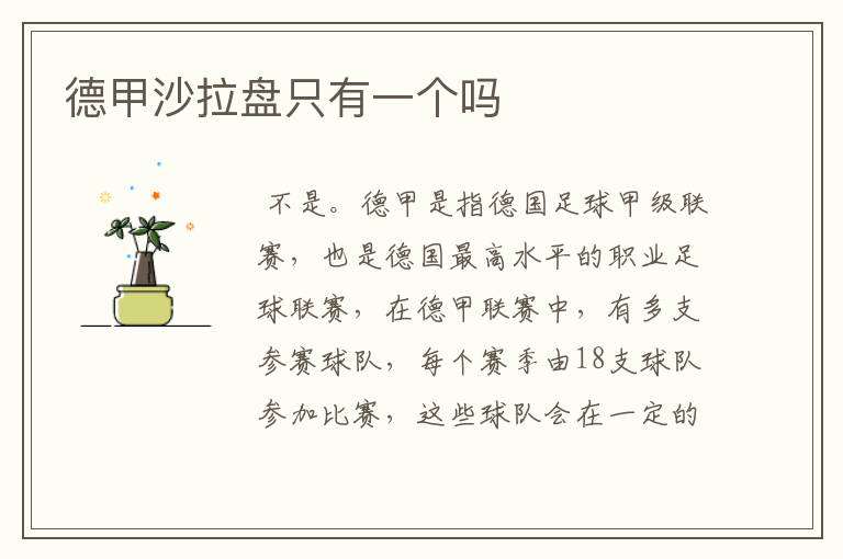 德甲沙拉盘只有一个吗