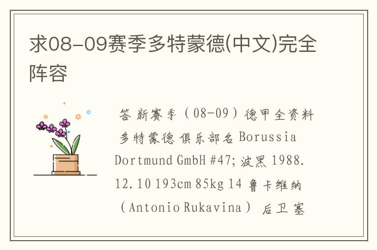 求08-09赛季多特蒙德(中文)完全阵容