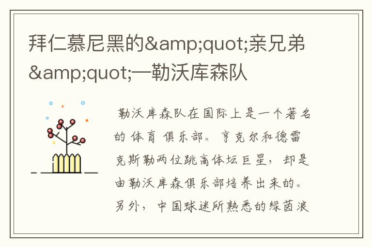 拜仁慕尼黑的"亲兄弟"—勒沃库森队