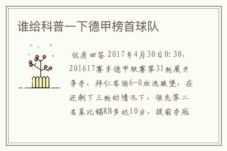 谁给科普一下德甲榜首球队