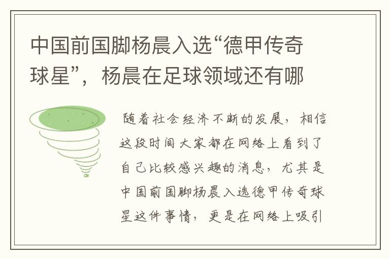 中国前国脚杨晨入选“德甲传奇球星”,杨晨在足球领域还有哪些成就?