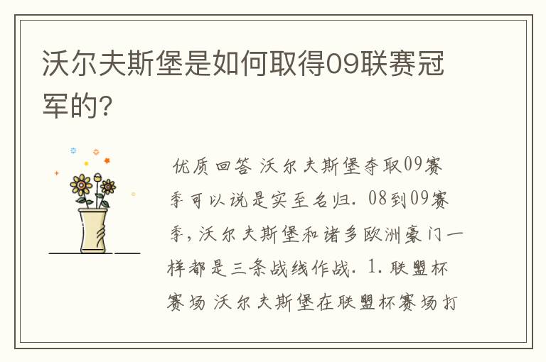 沃尔夫斯堡是如何取得09联赛冠军的?