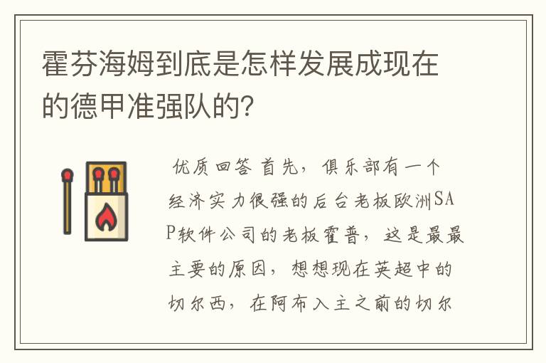 霍芬海姆到底是怎样发展成现在的德甲准强队的？
