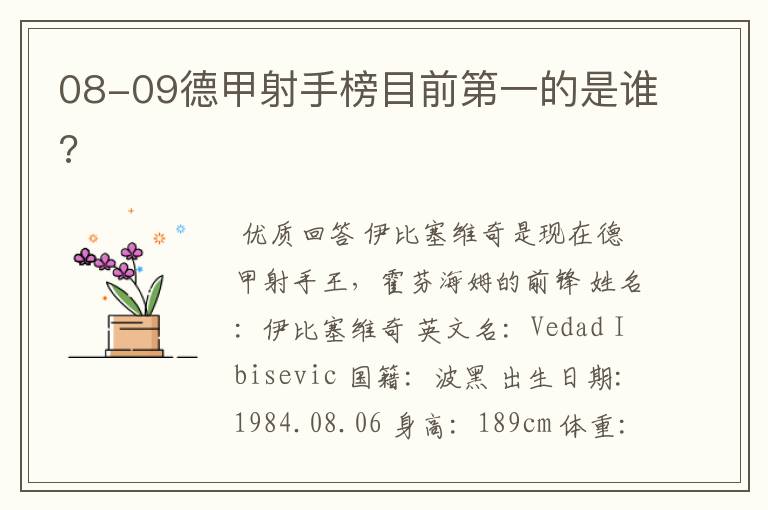 08-09德甲射手榜目前第一的是谁?