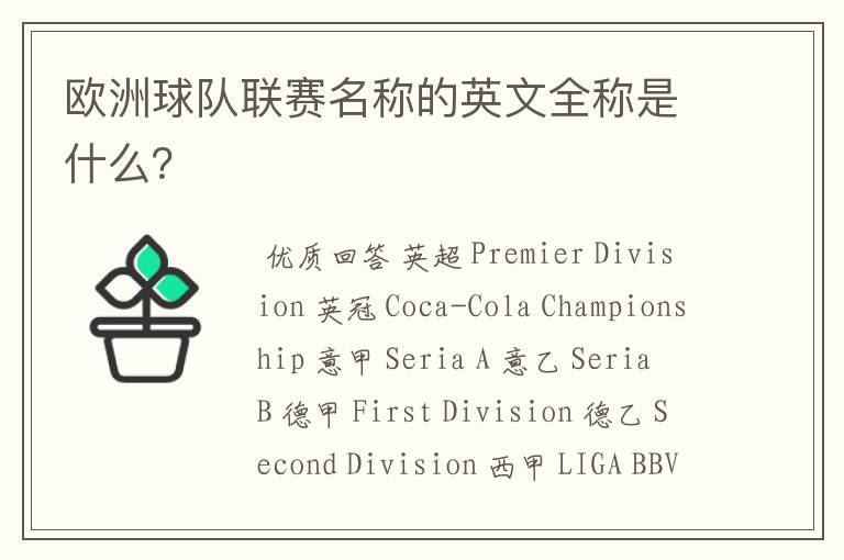 欧洲球队联赛名称的英文全称是什么?