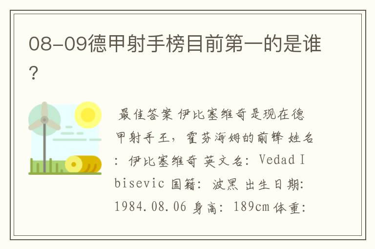 08-09德甲射手榜目前第一的是谁?