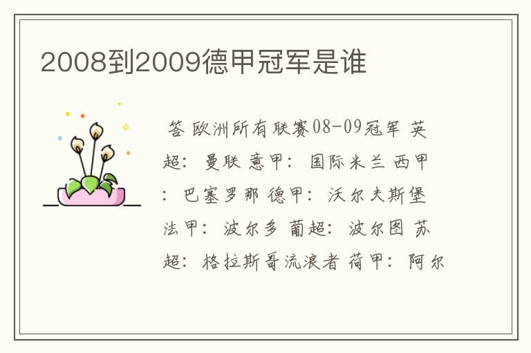 2008到2009德甲冠军是谁