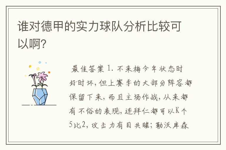 谁对德甲的实力球队分析比较可以啊?