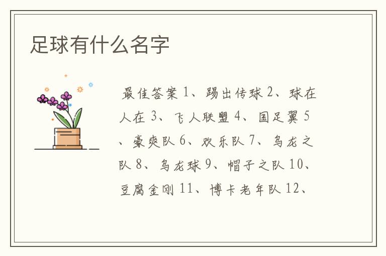 足球有什么名字