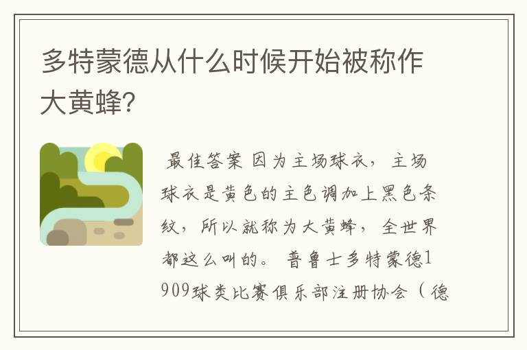 多特蒙德从什么时候开始被称作大黄蜂?