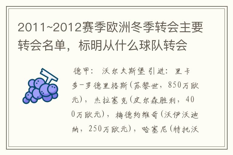 2011~2012赛季欧洲冬季转会主要转会名单,标明从什么球队转会到什么球队,多谢~