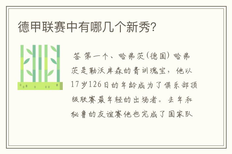 德甲联赛中有哪几个新秀?