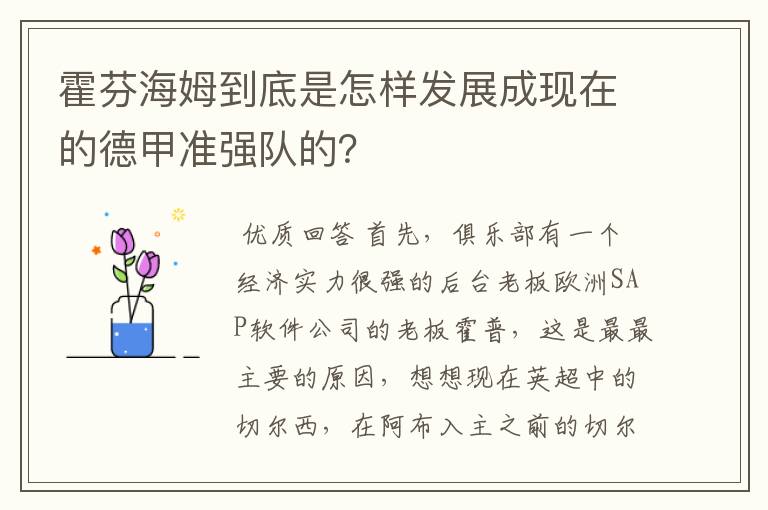 霍芬海姆到底是怎样发展成现在的德甲准强队的?