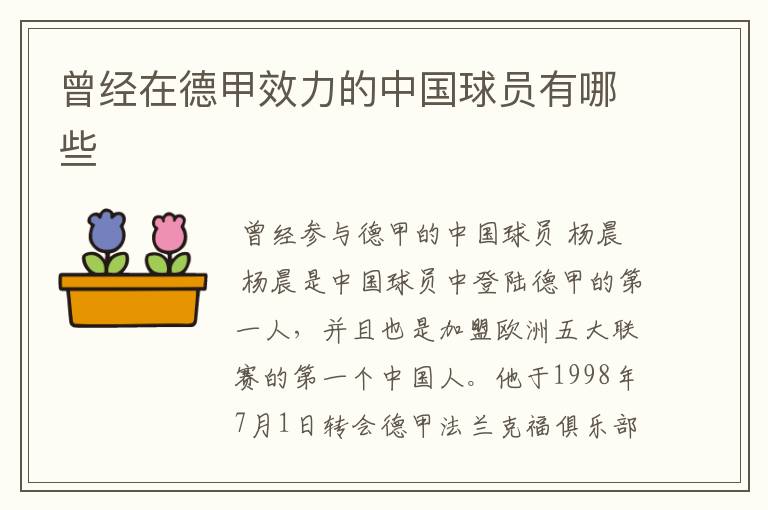 曾经在德甲效力的中国球员有哪些