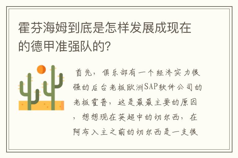 霍芬海姆到底是怎样发展成现在的德甲准强队的?