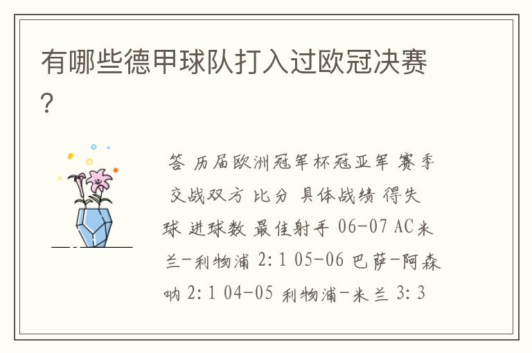 有哪些德甲球队打入过欧冠决赛？